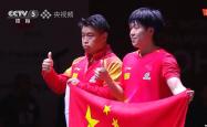 开云体育平台APP-比利时乒乓球队轻取德国乒乓球队,王皓制霸全场的简单介绍
