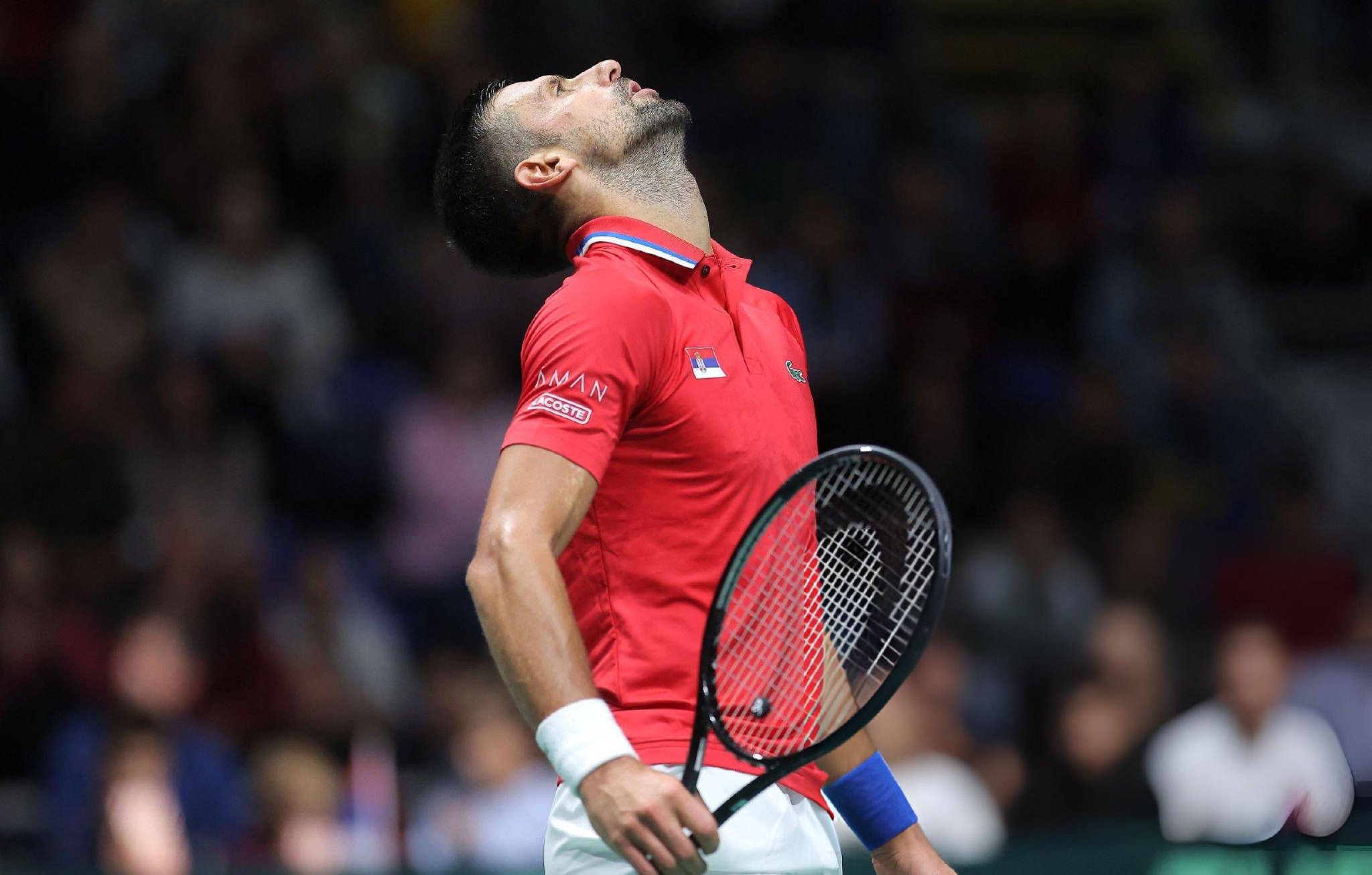 年终总决赛绝杀戴维斯杯，德约科维奇扛起全队的简单介绍