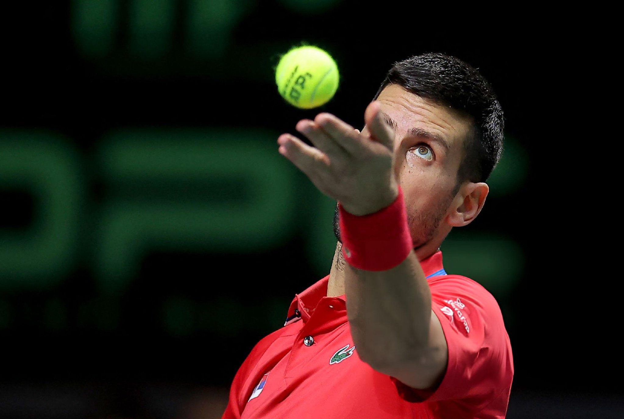 包含年终总决赛力克戴维斯杯,德约科维奇点燃赛场的词条 包含年终总决赛力克戴维斯杯,德约科维奇点燃赛场的词条